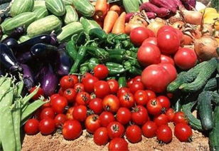 南通海門 食用農(nóng)產(chǎn)品將擁有 