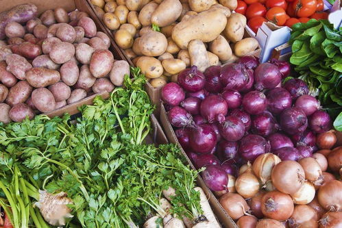 從地頭到餐桌 食用農(nóng)產(chǎn)品安全全程護(hù)航步驟解析