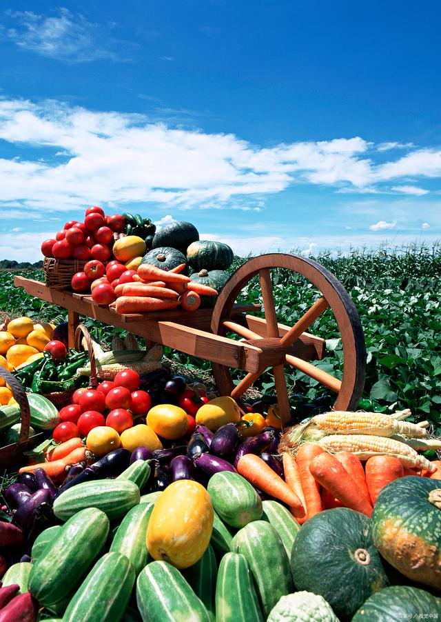 新規(guī)落地，守護(hù)舌尖安全——孫海山律師解讀《食用農(nóng)產(chǎn)品市場(chǎng)銷(xiāo)售質(zhì)量安全監(jiān)督管理辦法》