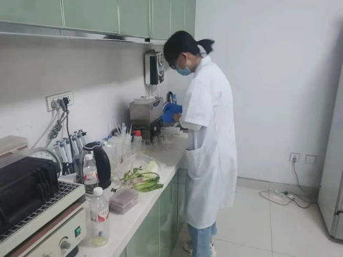 四大農貿市場抽檢結果公布，36批次食用農產品安全有保障